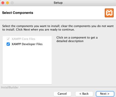 XAMPP setup step 2